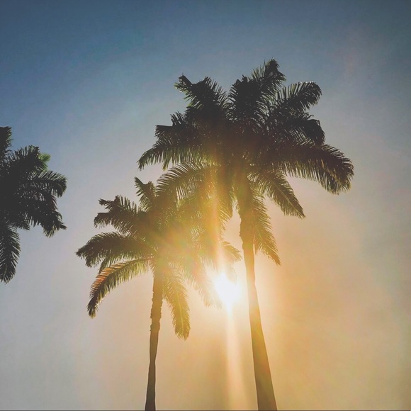 Meet your Posher, Ameliah - Picture 1 of 1